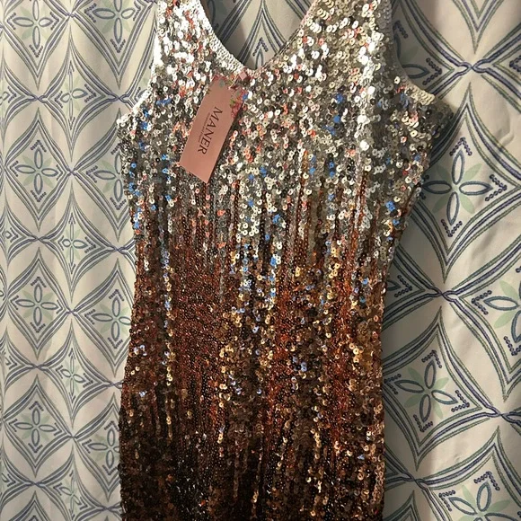 NWT Sequin Ombre Sleeveless Dress w/Perfectly in Tact Embellishments and Lined - Picture 3 of 16